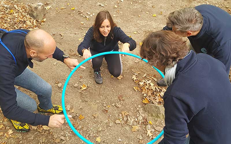 Giochi senza frontiere